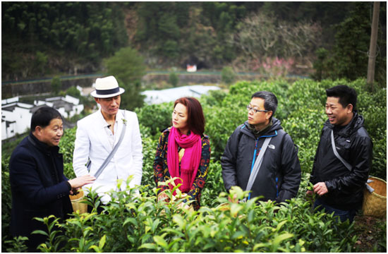 小罐茶豪華采茶團春茶體驗之旅